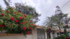 Un barrio residencial con una casa, un jardín con flores rojas y una palmera.
