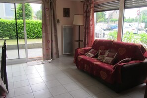 Télévision, lecteur de DVD, livres