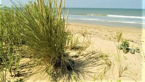 A beach with sand dunes and sparse vegetation.