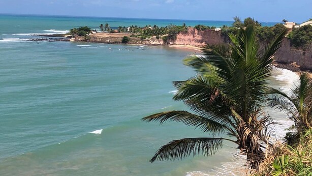 A coastal view with clear turquoise waters, a sandy beach, and a palm tree in the foreground. - Pousada A Praia (Parnamirim)