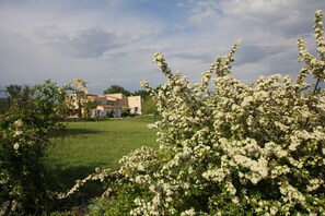 Stunning Mediterranean-style house surrounded by lush gardens and flowering trees.