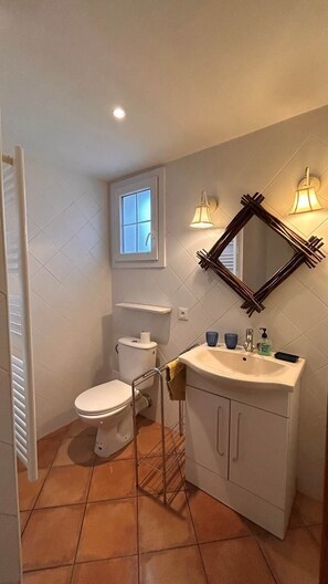 A bathroom with a toilet, sink, and mirror. - Country house with a lot of character in Corneilla del Vercol (CORNEILLA DEL VERCOL)