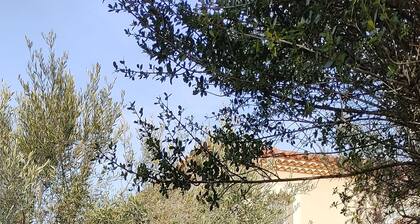 Villa lähellä Pont du Gard ja Uzes sijaitsee Collias