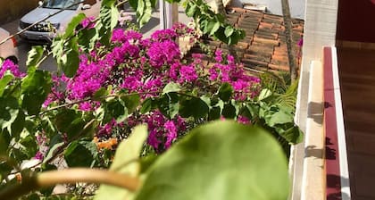 Pousada Bougainville Suites