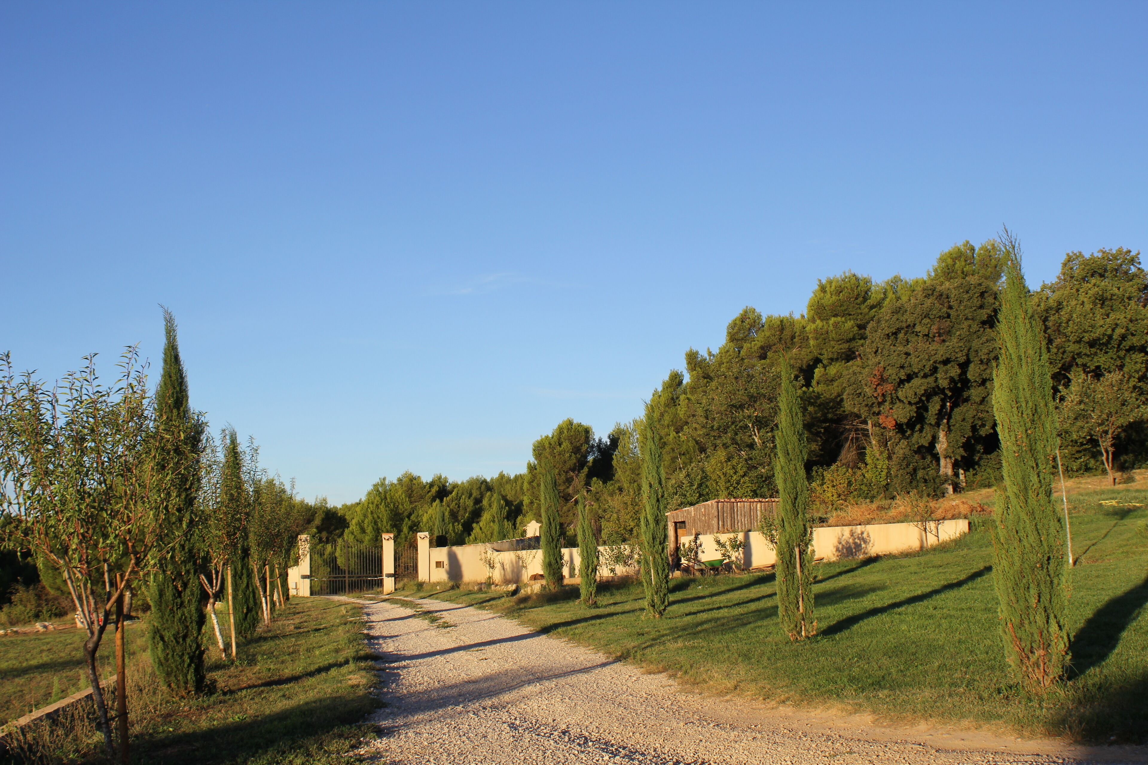 Un chemin de gravier mène à un bâtiment doté d’un toit en pente, entouré d’arbres et sous un ciel dégagé.