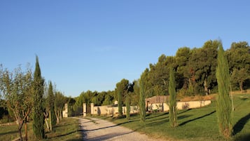 Un chemin de gravier mène à un bâtiment doté d’un toit en pente, entouré d’arbres et sous un ciel dégagé.