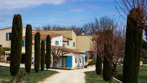 A rural road leading to a row of traditional houses with blue shutters and a well-maintained garden with tall, conical trees.