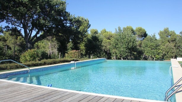 A rectangular swimming pool with a wooden deck in the foreground and trees in the background.
