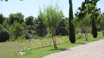 Enceinte de lâhĂ©bergement