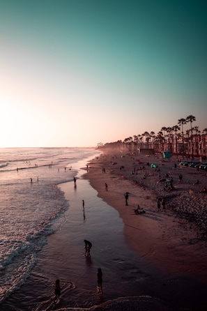 Guests can enjoy a serene beach experience with palm trees and ocean views.