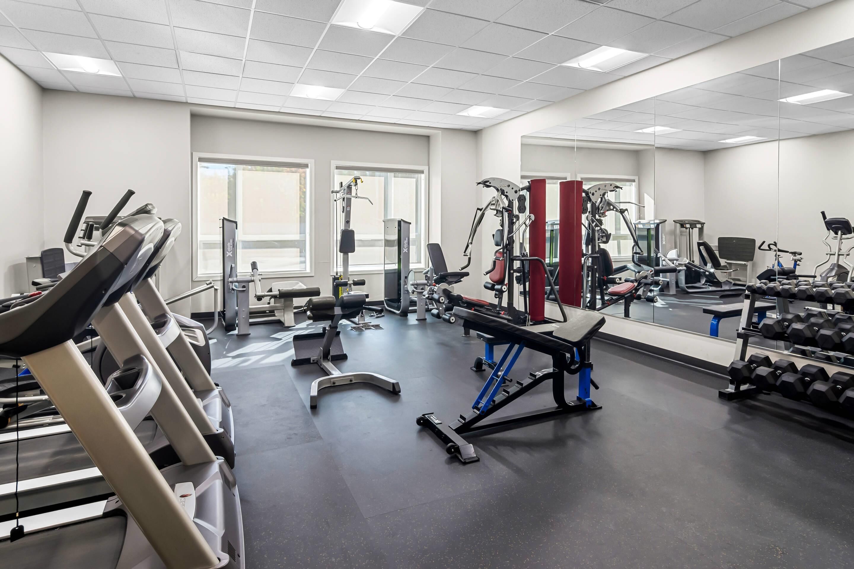 Ett gym med löpband, styrketräningsmaskiner och fria vikter.