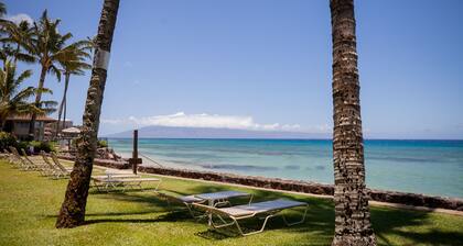 True Beachfront Luxury! Downstairs unit oceanfront 20' to water! NO resort fees.