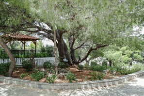 Terrain de l’hébergement 