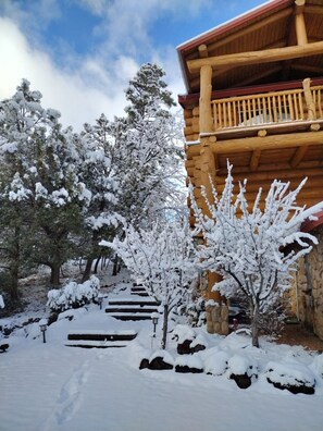 Property grounds - AWESOME LOGHOME: HOT TUB , free WIFI, CHECK IN/ OUT 1pm, lovely back in TORREON (Show Low)
