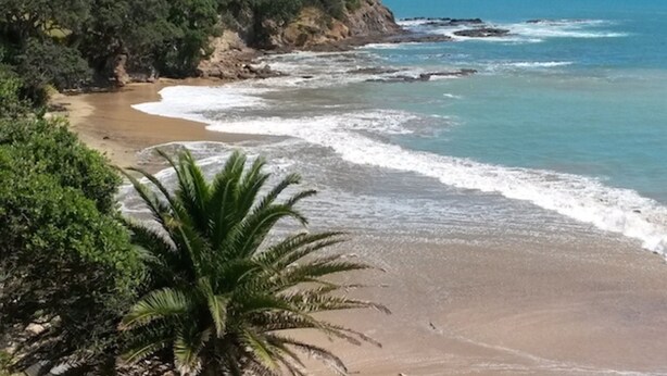 Una playa con arena, olas y abundante vegetación.