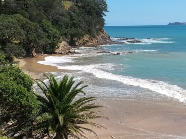 Beach nearby, motor boating, fishing - Anglers Lodge (Amodeo Bay)