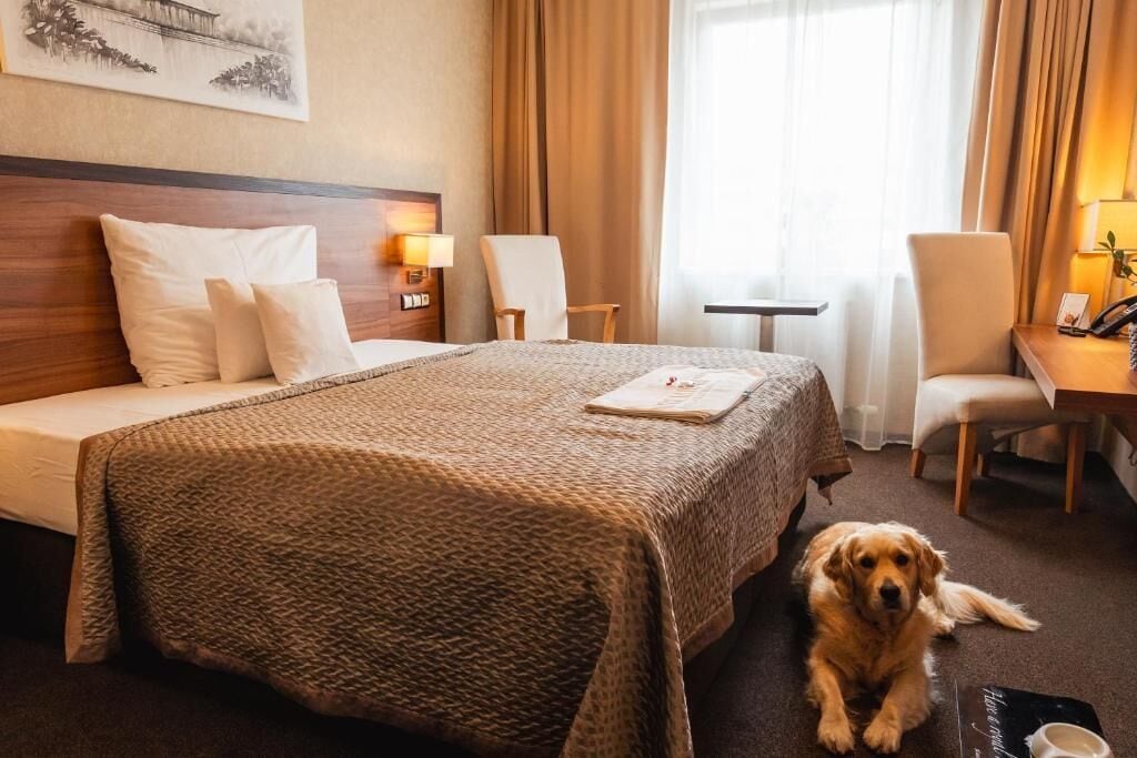 Comfort Double Room Single Use | Minibar, in-room safe, desk, laptop workspace