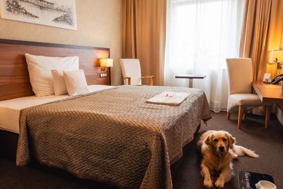 Comfort-Doppelzimmer zur Einzelnutzung