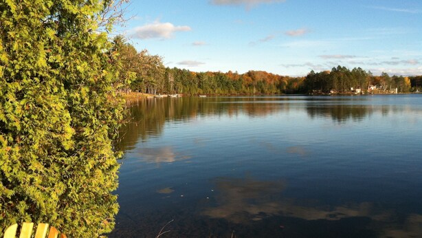 A calm lake surrounded by trees and a wooden dock.