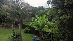 A backyard with a large tree, a banana plant, and a wooden fence. - Welcome to your Home away from Home. Pacific Studio offers everything to make your stay comfortable (Nambucca Heads)