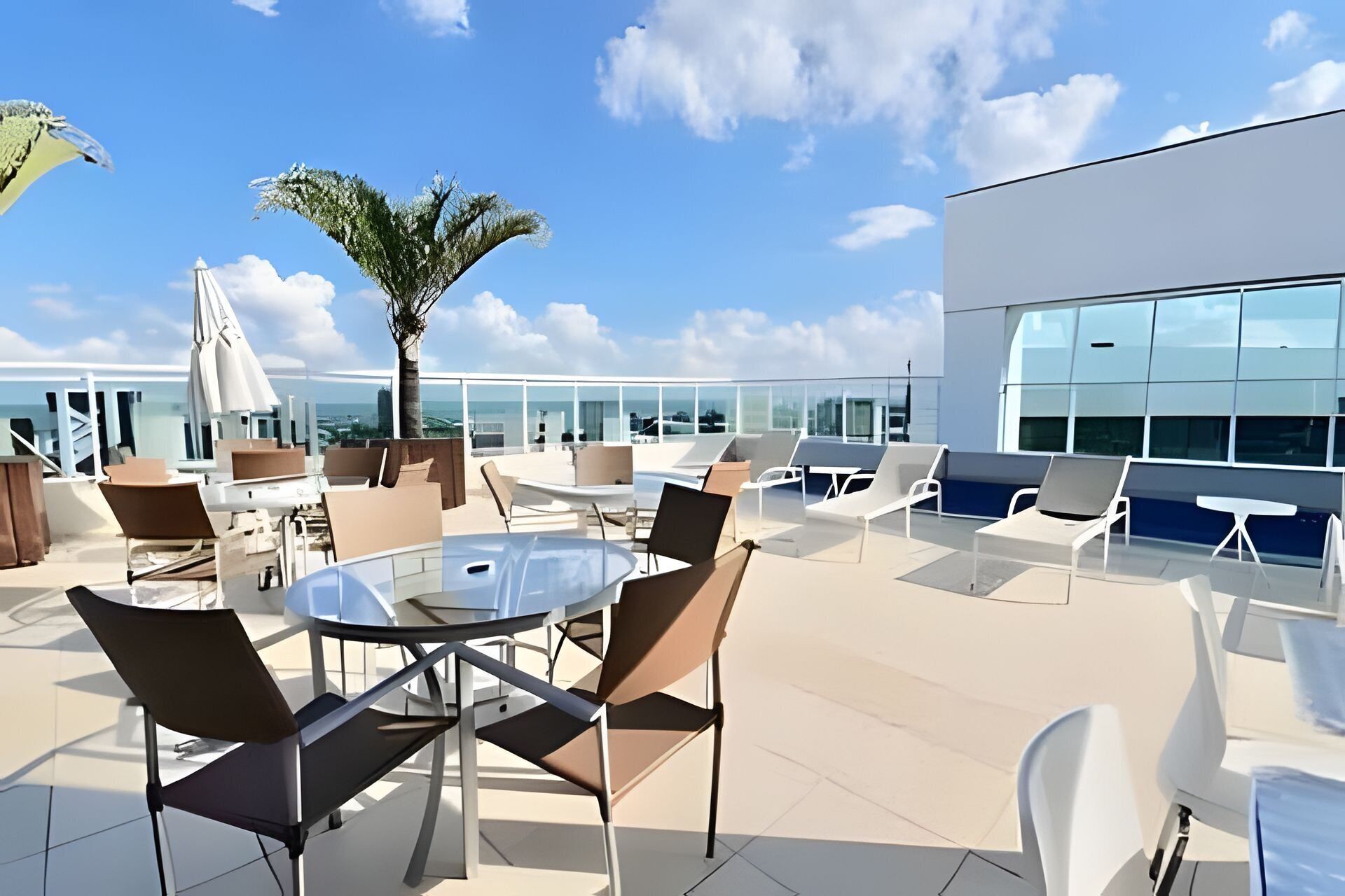 Una terrazza sul tetto con posti a sedere all'aperto, una palma e vista sulla città.