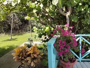 DĂ©tail de lâextĂ©rieur