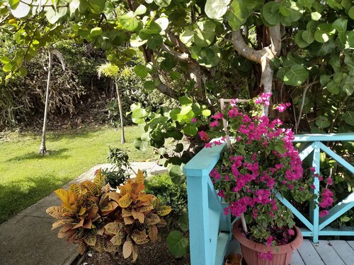 Executive Condo fully furnished