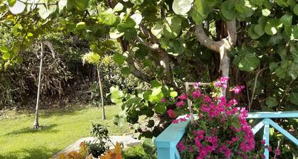 Executive Condo fully furnished