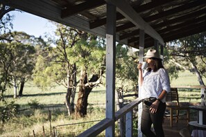 Property grounds - Odd Frog Lodges - Bunkhouse (LUE)