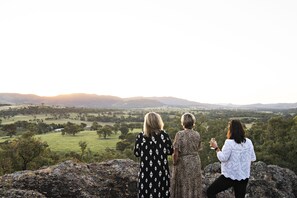 Miscellaneous - Odd Frog Lodges - Bunkhouse (LUE)