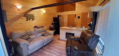 Baby Bear Kenai/Soldotna fishing cabin- sleeps 3 - Alaska Building a Dream