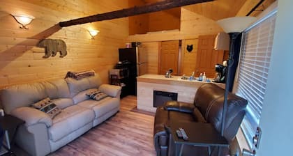 Baby Bear Kenai/Soldotna fishing cabin- sleeps 3 - Alaska Building a Dream