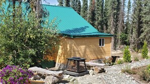 A small wooden cabin with a green roof, surrounded by dense forest. - Baby Bear Kenai/Soldotna fishing cabin- sleeps 3 - Alaska Building a Dream (Soldotna)