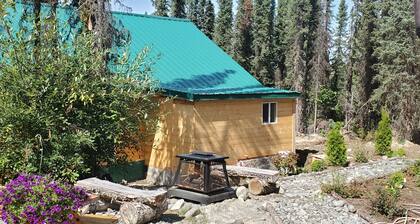 Baby Bear Kenai Cabina de pesca