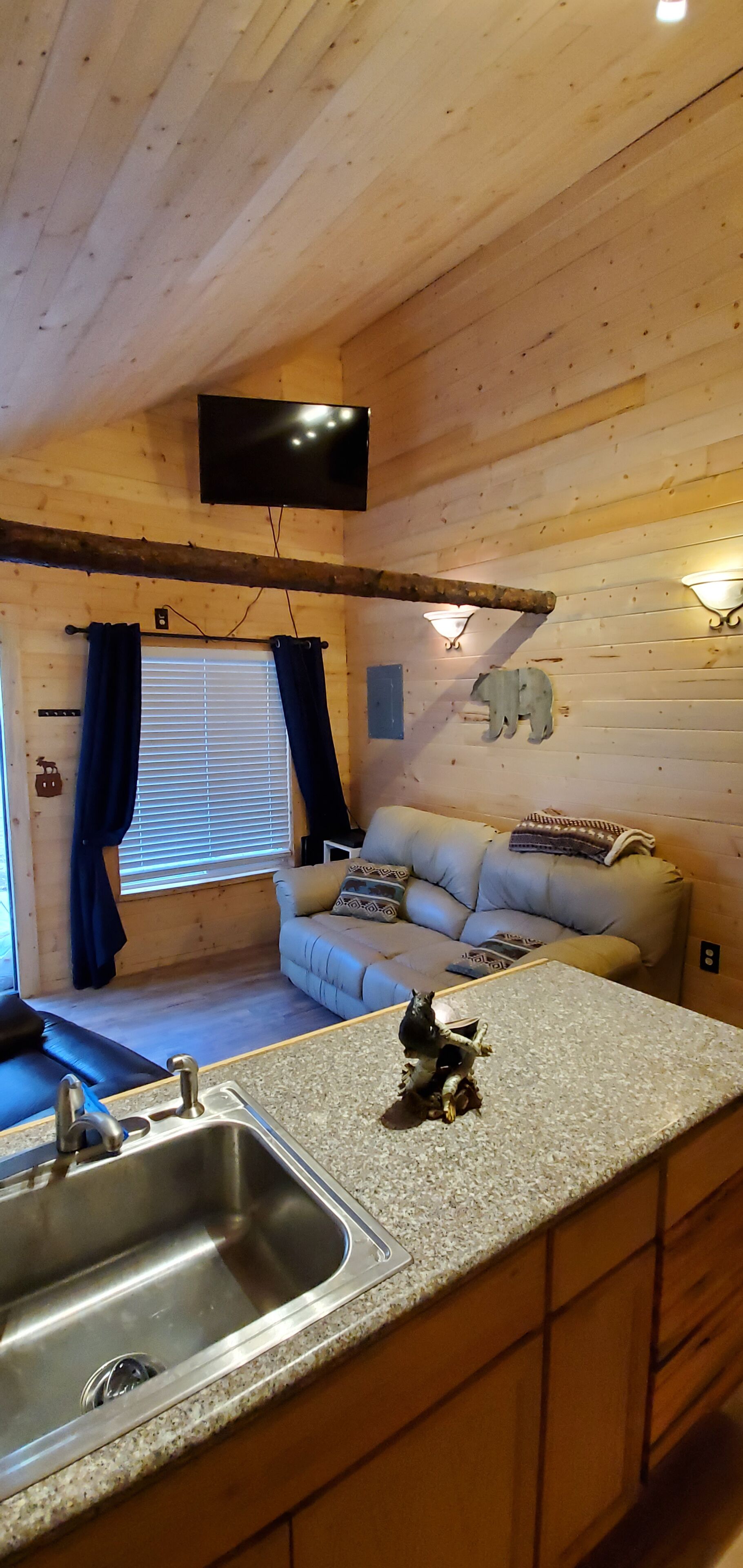 TV, fireplace, video library