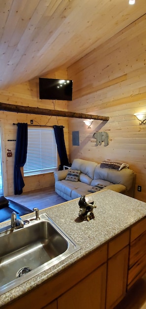 TV, fireplace, video library