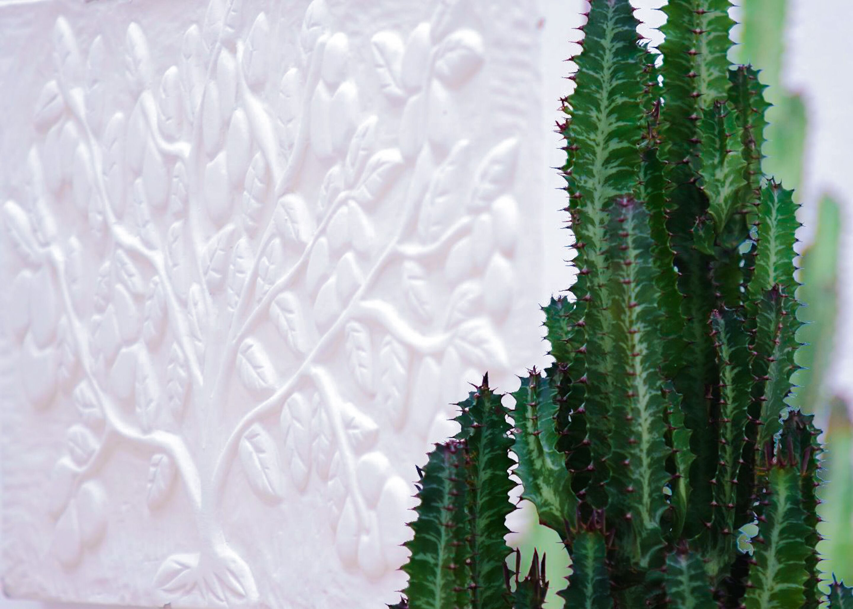 Foto - La Maison de Vacances