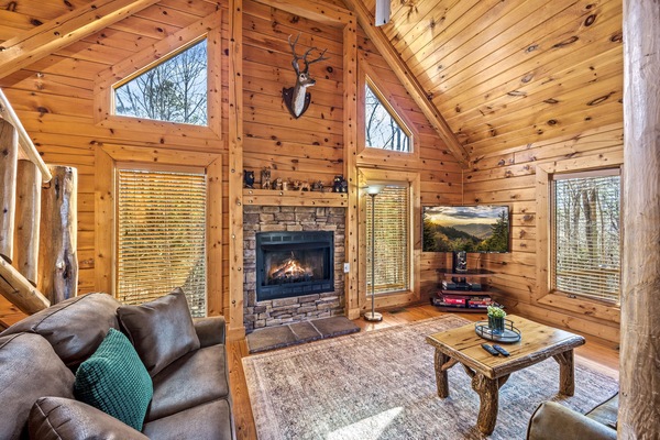 TV, caminetto, lettore DVD, videoteca