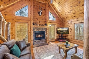 TV, fireplace, DVD player, video library