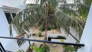 A courtyard with palm trees, a white wall, and a small garden area. - un séjour inoubliable. Surpresseur, chauffe eau, Clim , piscine, plage … jardin. (Ngaparou)