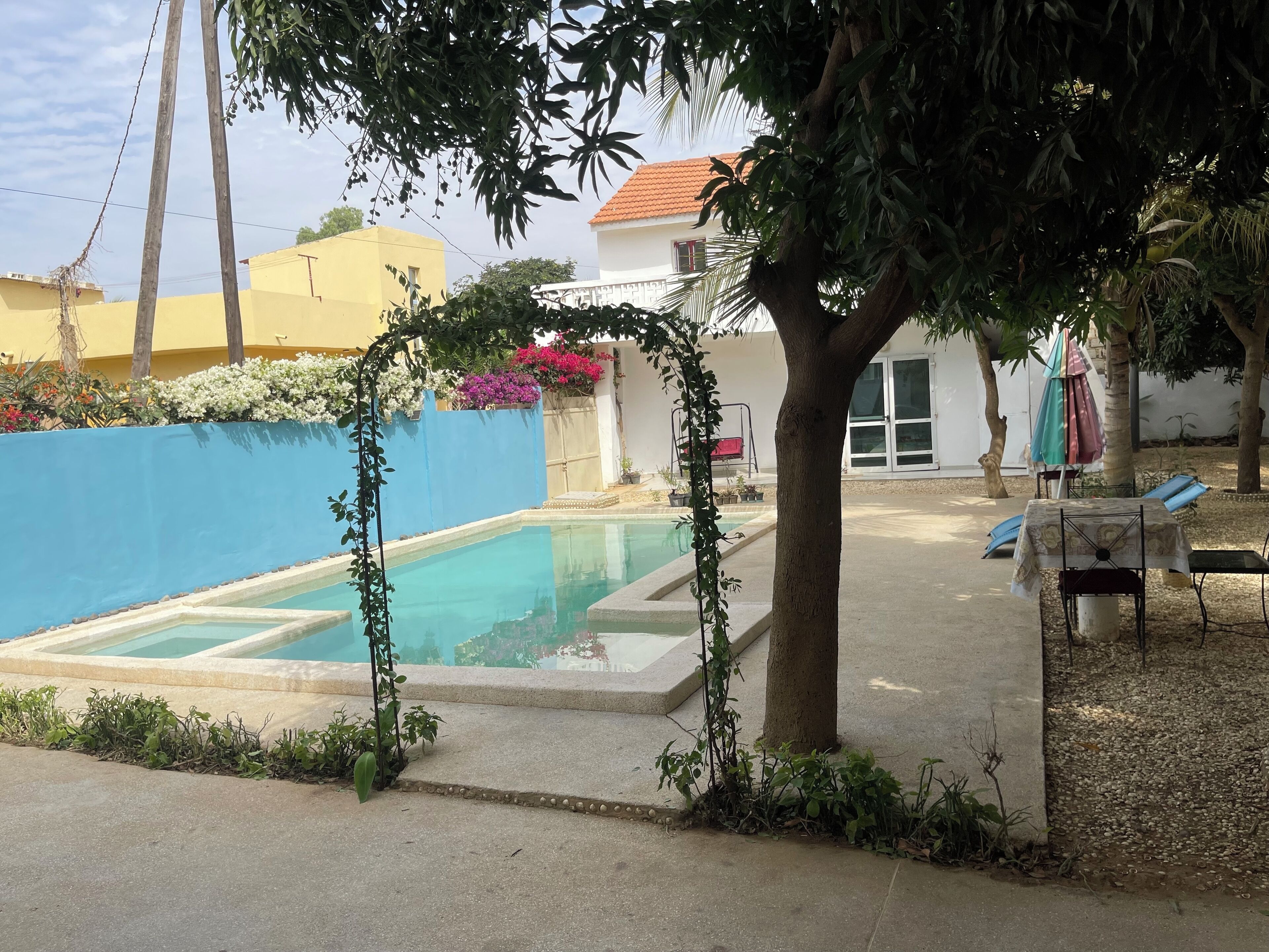 A swimming pool with a blue border, surrounded by a low wall and plants.