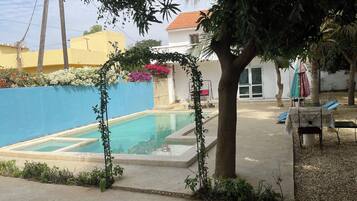 A swimming pool with a blue border, surrounded by a low wall and plants.
