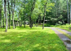 A wooded area with a gravel path and a small building in the background. - Charming Cabin Near Falls, Hiking, & Fly-Fishing (Brevard)