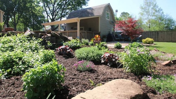 A garden with various plants and a wooden structure in the background.
