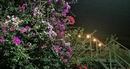 Pensión y Cabinas Colibrí Monteverde B&B