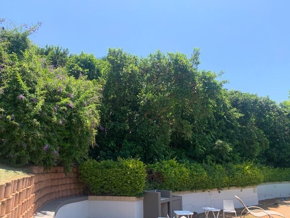 Exterior - Fairview BnB (Umhlanga)