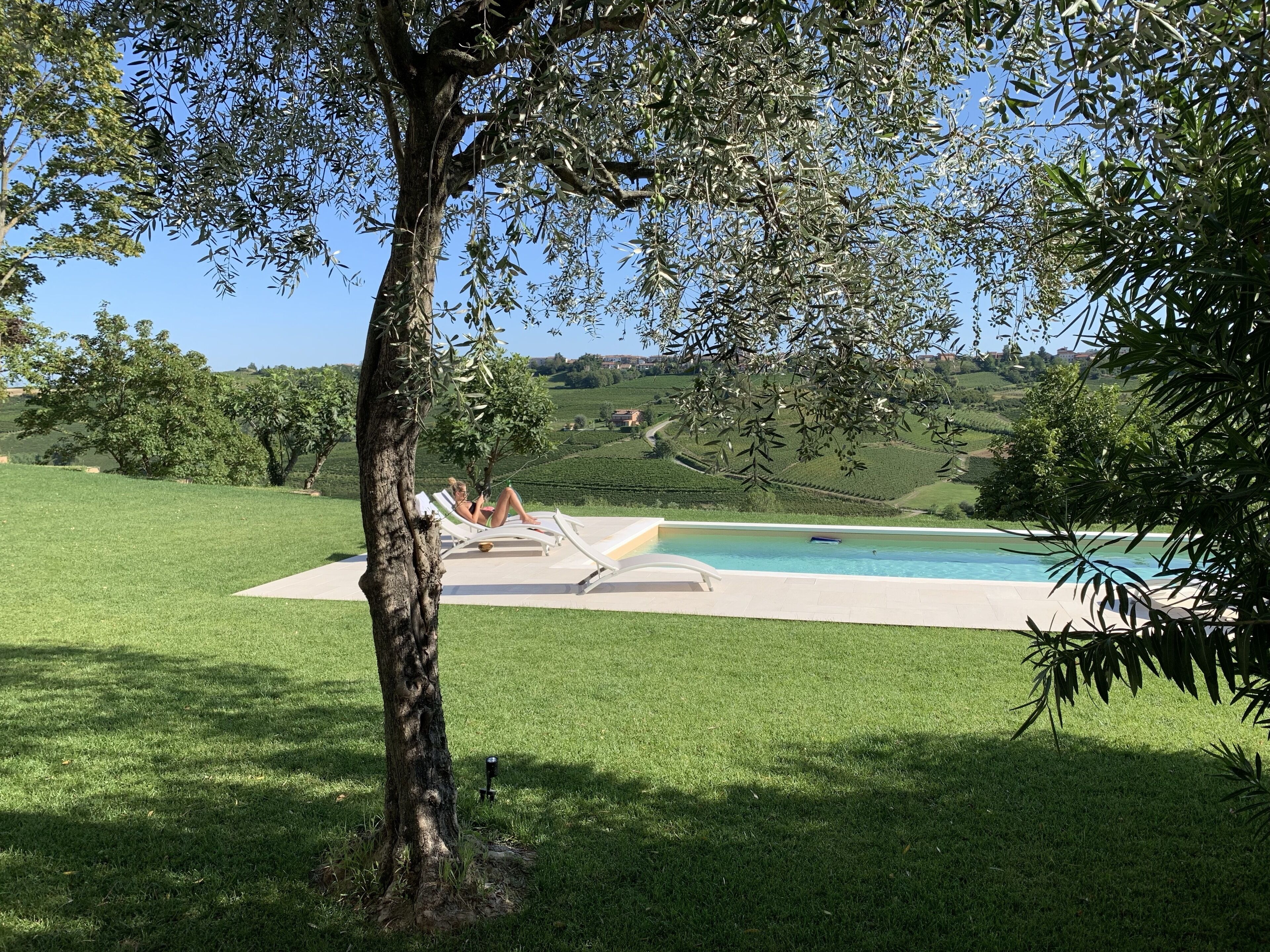 Zona de piscina con sillones de descanso, un árbol y vistas al campo.