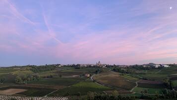 A rural landscape with rolling hills, vineyards, and a prominent building with a dome.