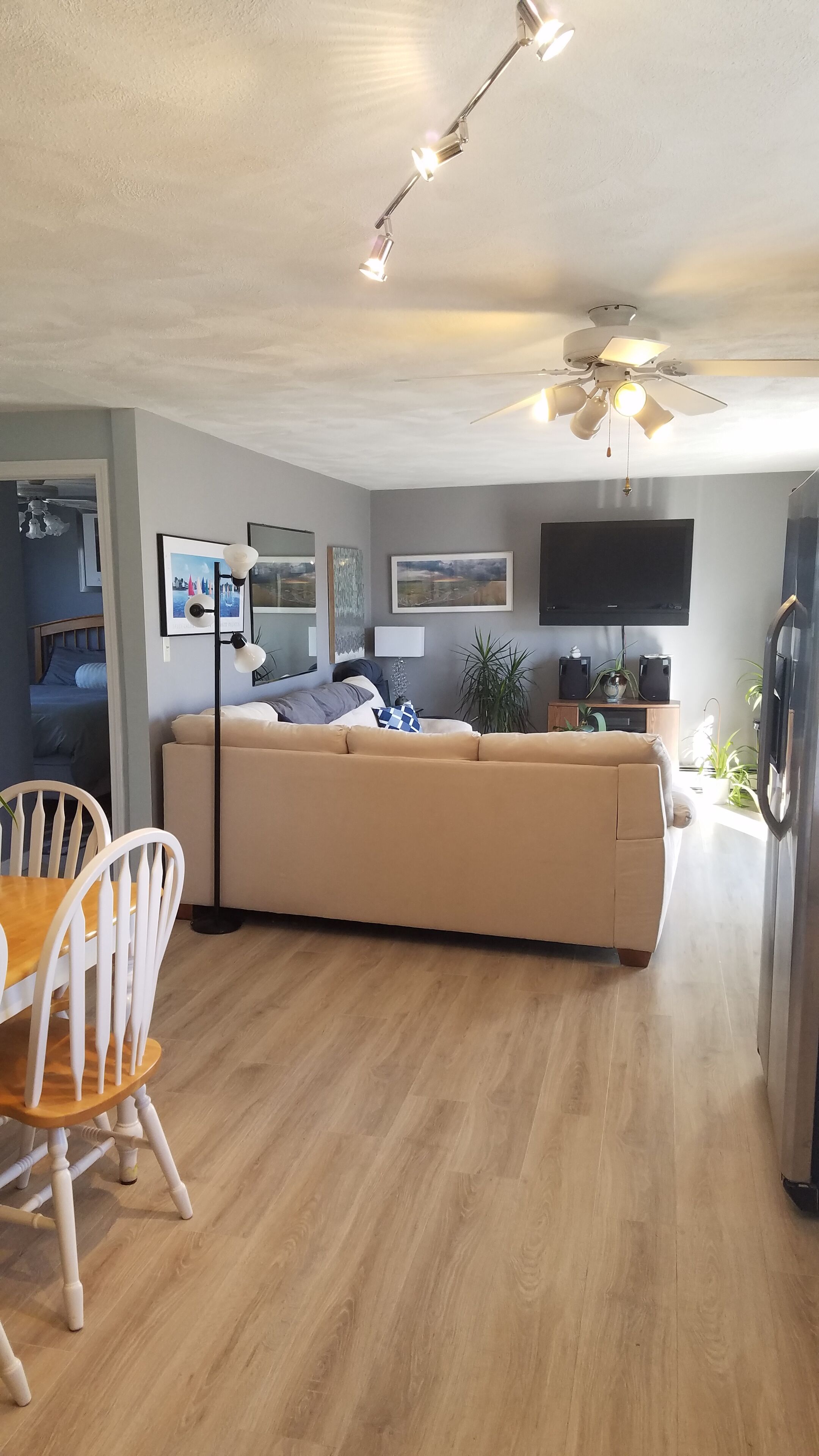 Smart TV, Hulu, DVD player, books