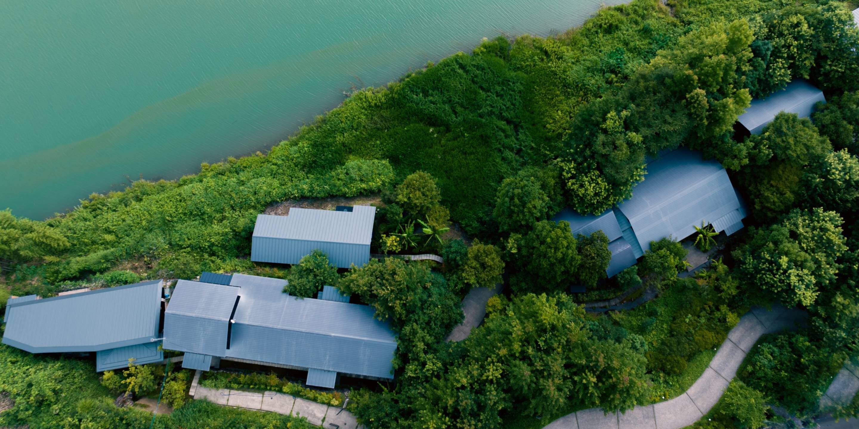 An aerial view of a residential area with multiple houses surrounded by dense greenery and a lake.